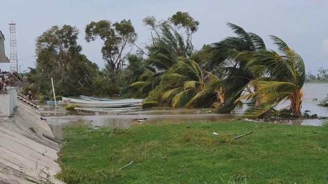 Audra „Grace“ nusiaubė Meksikos pakrantę: žuvo 8 žmonės, sugriauti namai, išvartyti medžiai