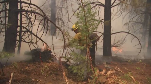 Kalifornija toliau grumiasi su gaisrais: sunaikinti 245 namai, evakuota apie 30 tūkstančių žmonių