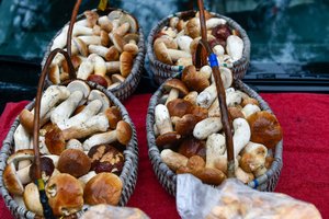 Apsinuodijimas grybais: pajutę pagerėjimą neskubėkite džiaugtis – gali būti sunkios pasekmės