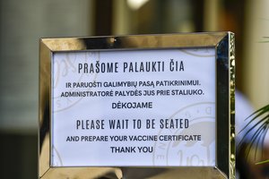 A. Dulkys: sukčiaujantys dėl galimybių paso ignoruoja visuomenės poreikius