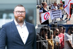 M. Dubnikovas: dėl šito vakarėlio galime turėti didelių problemų ekonomikoje