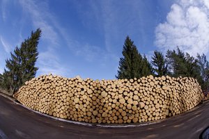 Netrukus – pokyčiai sezoniniams darbininkams