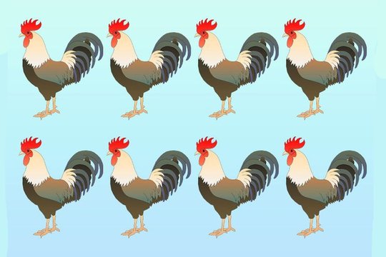 Kuris gaidys skiriasi nuo kitų? Pasitikrinkite, ar rasite greičiau nei dauguma