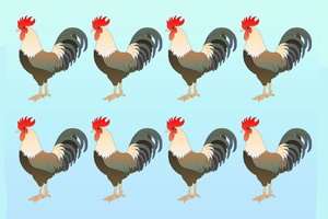 Kuris gaidys skiriasi nuo kitų? Pasitikrinkite, ar rasite greičiau nei dauguma