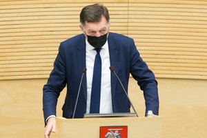 A. Butkevičius sureagavo į A. Armonaitės pareiškimą: Vyriausybės požiūris į verslą šokiruoja