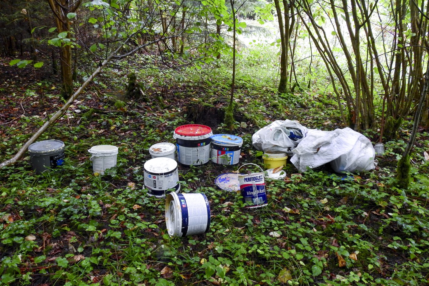 Šalia grybų pintinės pasiimkite ir maišą šiukšlėms: rugsėjį kviečia į miškų švarinimo akciją.<br>V.Ščiavinsko nuotr.