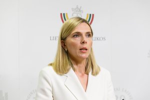 A. Bilotaitė: iš Lietuvos į kilmės šalis išskraidinta 14 neteisėtų migrantų