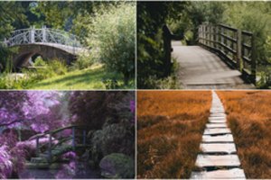 Pasirinkite tiltą ir sužinokite, kaip įveikti iškilusią kliūtį