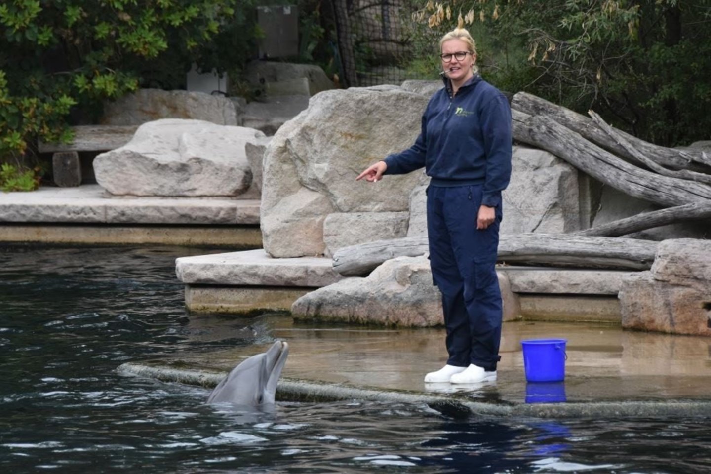 Rūta Livet: „Mes kuriame delfinų gerovės vertinimo indikatorius.“<br>Nuotr. iš asmeninio archyvo