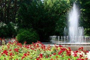 Dzūkijos sostinė Alytus kviečia pasižvalgyti po savo gražųjį Miesto sodą