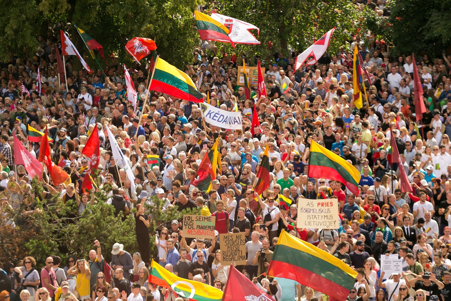 Protestas prie Seimo.<br>T.Bauro nuotr.