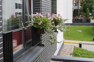 Specialistai patarė, kaip išsirinkti augalus rudeniui: žydės iki šalnų