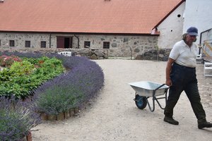 Žmonių nuotaika bjursta, uždirba daugiau, bet daugiau ir išleidžia