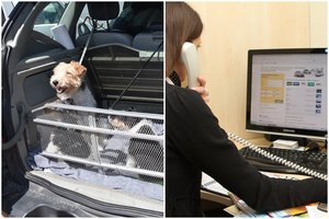 Įsigaliojęs draudimas gyvūnus parduoti turgavietėse atnešė pokyčių: per pusmetį nustatė 800 pažeidimų