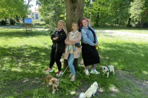 Dalykai, kuriuos privalote žinoti imdami gyvūną iš prieglaudos, kad jo neatimtų