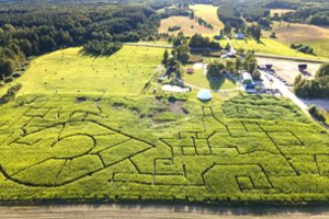 Įspūdinga: labirintų parkas Anykščiuose pagerino Lietuvos rekordą