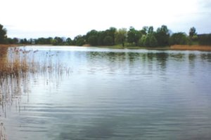 Lietuviškų vardų detektyvas – ieškant Dainio ežero