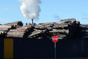 Valdžia prisižaidė su šilumos ūkiu: šildymo kainos rudenį aukštai pastraksės 