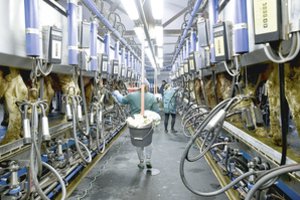 Kala išmokų „lubas“ – vers grįžti prie vokelių 