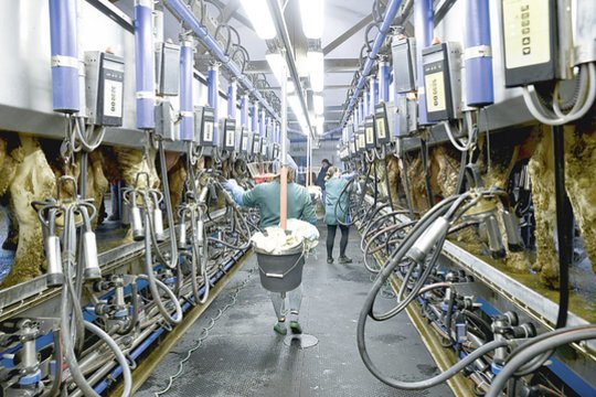 Kala išmokų „lubas“ – vers grįžti prie vokelių 