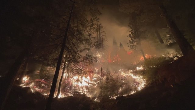 Kalifornijoje toliau sparčiai plinta gaisras: liepsnos artinasi prie vietinio kurorto zonos