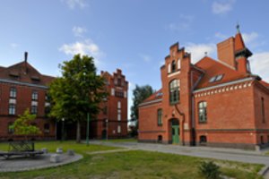 Klaipėdoje bus galima pasiskiepyti prie aukštųjų mokyklų