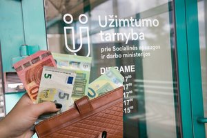 Pasipelnyti iš subsidijų sumanęs vilnietis atlygins 38 tūkst. eurų žalą valstybei