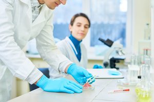 Kodėl mokslininkai mums siūlo valgyti vabzdžius ir laboratorijose augina mėsą?