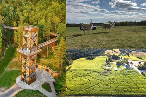 Išrinkta nauja Lietuvos vasaros sostinė: nuo įspūdingo rekordinio labirinto iki pakerėsiančių nakvynės vietų