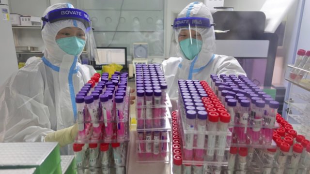 Naujausi tyrimai: Brazilijos angių nuodai gali padėti kovoti su koronavirusu