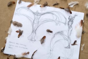 Pirmas skrydis, įvykęs prieš daugiau nei 1000 metų: mokslininkai bei menininkai bando jį atkurti