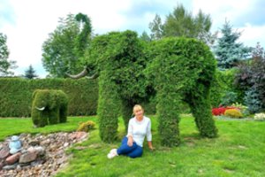 Įspūdingas skulptūras iš augalų kuriantys Kauno rajono gyventojai kieme apgyvendino ir tigrą, ir žirafą