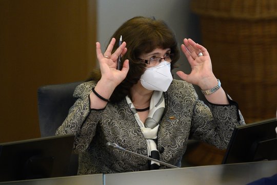 Eižėja valstiečių frakcija: apie pasitraukimą iš partijos atvirai prakalbo ir R. Baškienė