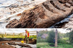 Pelkėje aptiko įspūdingą pagonišką stabą