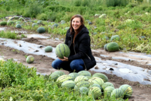 Arbūzų lauke Vilma pamiršta net laiką