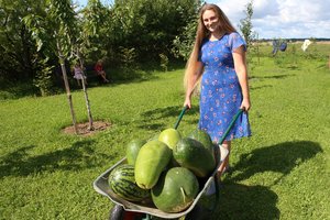  Kasmet vis įvairesnį arbūzų derlių skinanti pakaunės gyventoja  atskleidė padarytas klaidas ir negailėjo patarimų naujokams