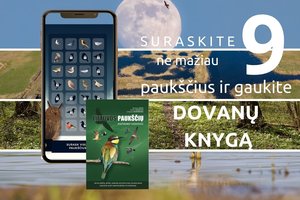 „Paukščių kelią“ pažinti padės išmanusis gidas: atkakliausių lauks dovanos