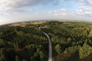 Rugsėjį praleiskite gamtoje: siūlo beveik 30 pramogų miškuose