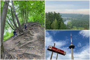 Išbandė 100 km žygį pėsčiomis aplink Vilnių: vos keli kilometrai nuo centro ir atsiduri visiškoje miško tyloje