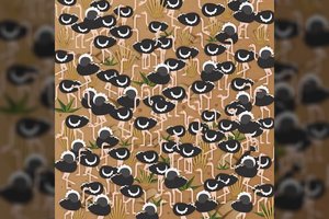 Tarp stručių pradingo skėtis: ar sugebėsite greit jį rasti?