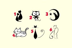 Pasirinkite katę: dabar jūs – kaip ant delno