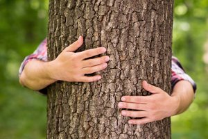 Aplinkosaugos testas: atsakyk į klausimus ir laimėk prizus