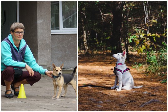 Auginantiems šunį – patarimai, kurie leis apsaugoti augintinio ir savo sveikatą: svarbu pajusti, ką šuo „kalba“