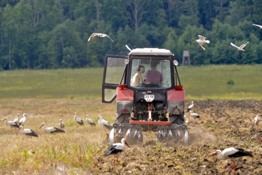 Žemės ūkio paskirties žemė pabrango daugiau nei tris kartus – tai lėmė viena priežastis