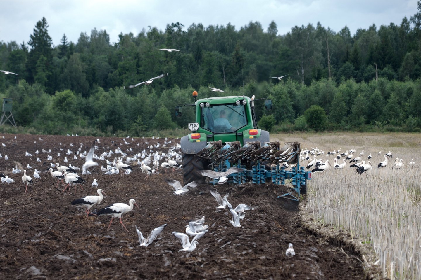 Nors visose trijose Baltijos šalyse žemės ūkio paskirties žemės kainų vidurkis panašus, brangiausi sklypai – Lietuvoje. Nedaug atsilieka Latvija, kiek daugiau – Estija.<br>V.Ščiavinsko nuotr.