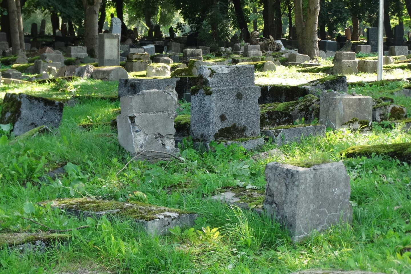  Dėl įvykio Radvilėnų kapinėse policijos pareigūnai pradėjo tyrimą. <br> A.Karaliūno nuotr.