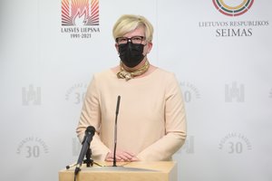 I. Šimonytė sureagavo į mitinguotojų reikalavimus: nematau pagrindo atleisti nė vieno ministro
