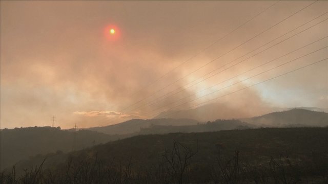 Ispanijoje įsiplieskė dar vienas miškų gaisras: evakuota beveik 800 žmonių