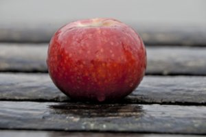 Ispanijos vyskupas įsimylėjo erotinių knygų autorę