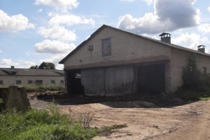 Atsakė dėl smarvės pasipiktinusiems miestiečiams: jiems užkliūva ir gaidžių giedojimas, ir bičių skraidymas